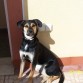 Tomando el sol en la terraza